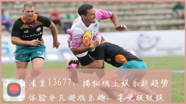 新浦京13677，揭秘线上娱乐新趋势，体验非凡游戏乐趣，享受极致娱乐体验