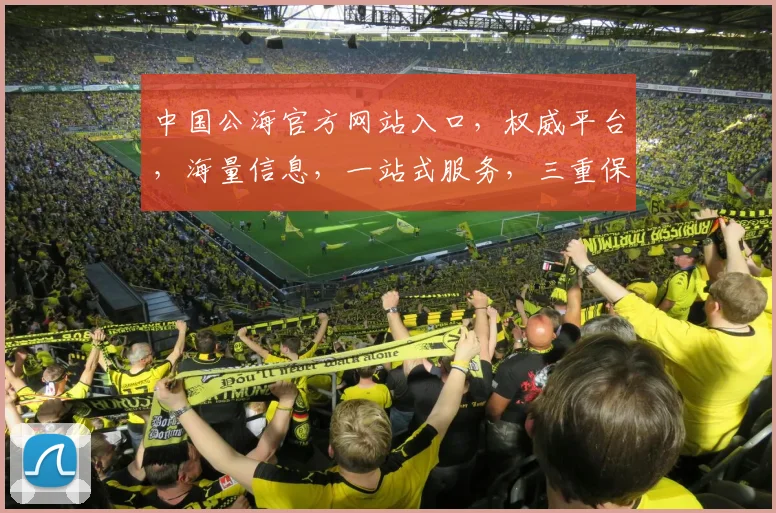 中国公海官方网站入口，权威平台，海量信息，一站式服务，三重保障，必看